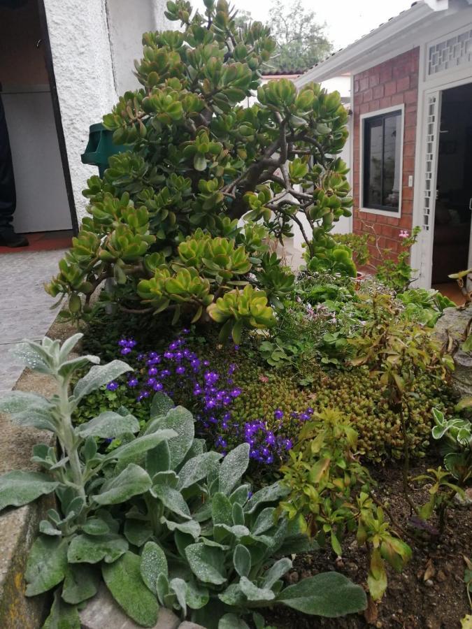 Casatodosantos Bed and Breakfast Cuenca Eksteriør billede
